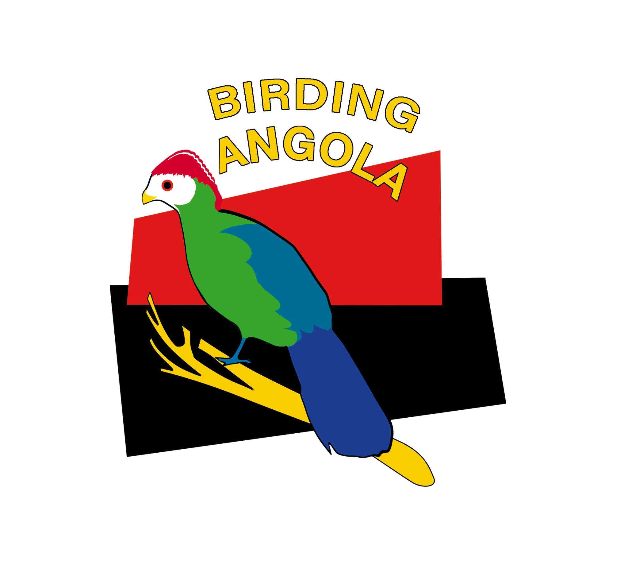Birding Angola
